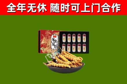 同江回收冬虫夏草价格